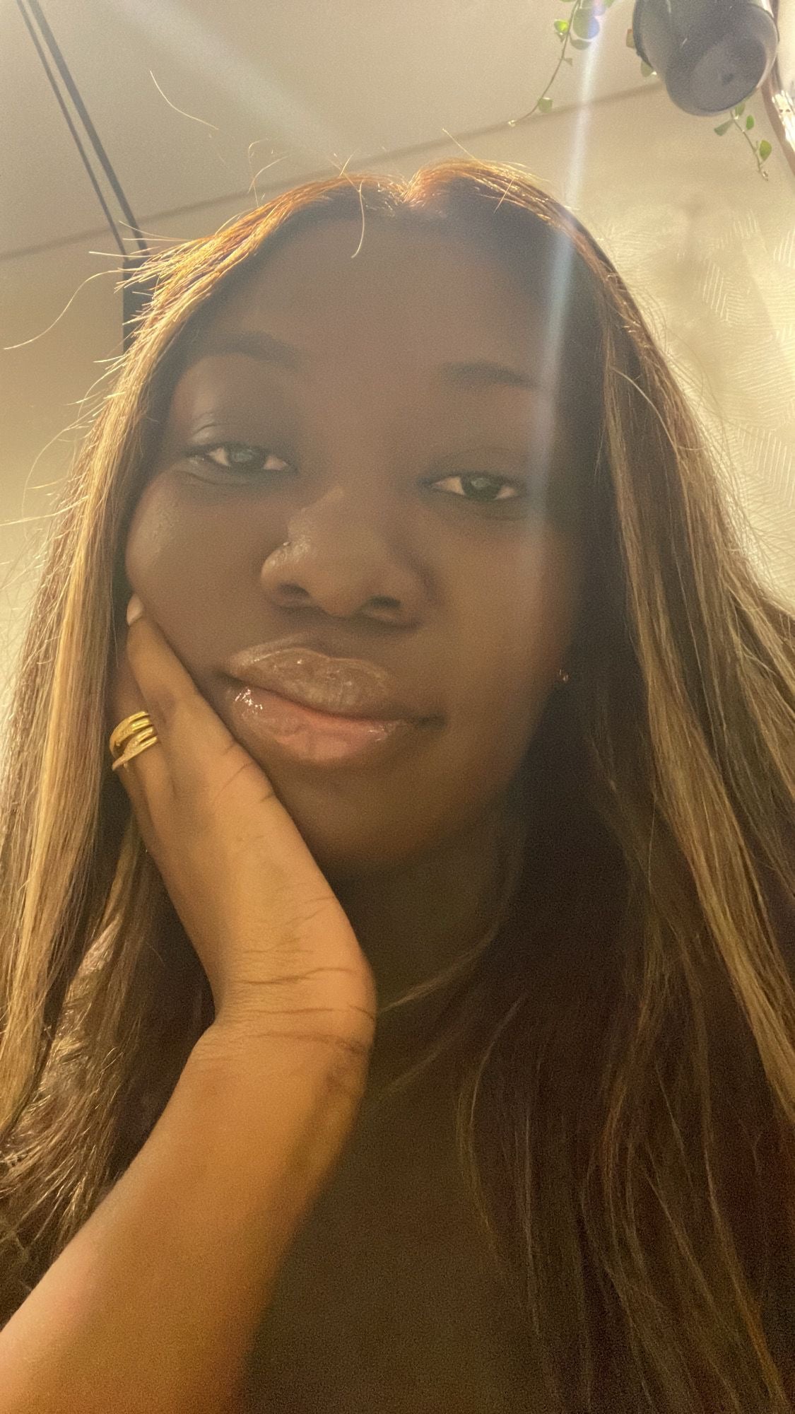 Beginner Friendly Middle Part Ombre Wig - Raw Single Donor Vietnamese Luxury Straight with 20 Inches Remy HD Closure - 30 Inches